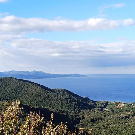 شقة Vue Panoramique - By Conciergerie De Haute Corse Farinole